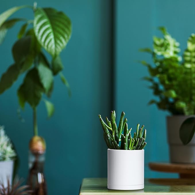 Planters: Set of 12 Matte White Plastic Pots, 3.5 Inch with Saucers