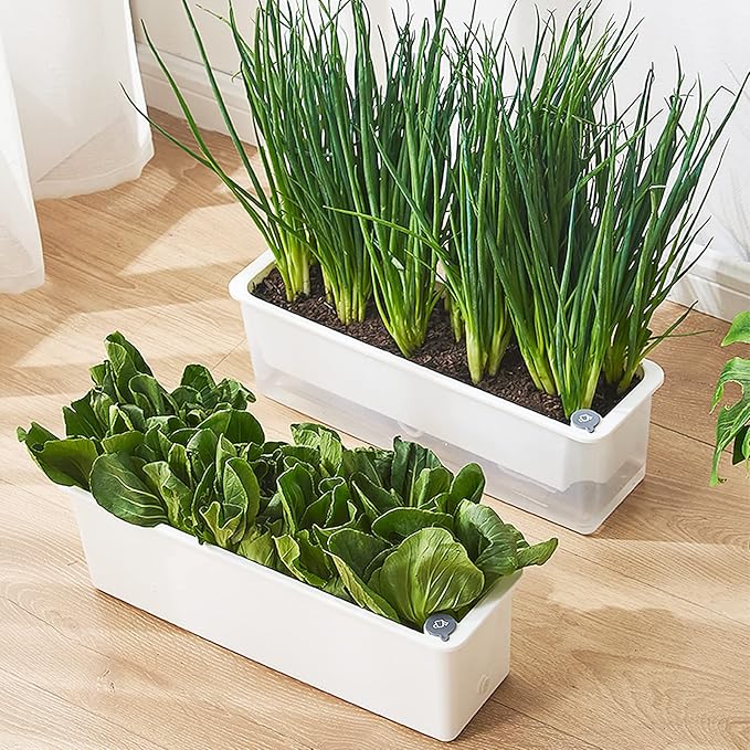 FAMZ Self Watering Pots for Indoor Plants 3 Pack Transparent Rectangular Planting Self Watering Planter，Vegetable Planters for Windowsill Patio Garden Balcony Home Porch Yard Indoor Outdoor (White)