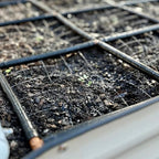 The Garden Grid | Preassembled Garden Watering System for Raised Beds | Drip Irrigation System & Soaker Hose - But Better | 1-Min Setup, USA-Made, Lasts 5-10x Longer | Size: 2x8 -Dims: 22.5"x88"