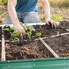 Galvanized Raised Garden Bed for Gardening, 3x3x1ft Metal Square Planter Boxes Outdoor for Vegetable,Flower,Herb,Modular Above Ground Growing Container,Green