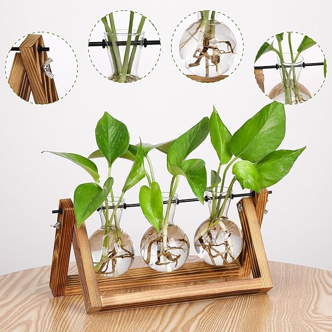 Terrarium Propagation Station with 3 Glass Bulb Vases and Brown Wood Stand