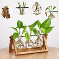 Terrarium Propagation Station with 3 Glass Bulb Vases and Brown Wood Stand