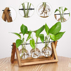 Terrarium Propagation Station with 3 Glass Bulb Vases and Brown Wood Stand