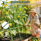 Miory Cucumber Trellis for Raised Beds, 48 x 48 Inch Metal A-Frame Garden Trellis for Climbing Plants Outdoor with Climbing Net, Plant Support for Cucumber Tomato Bean Pea