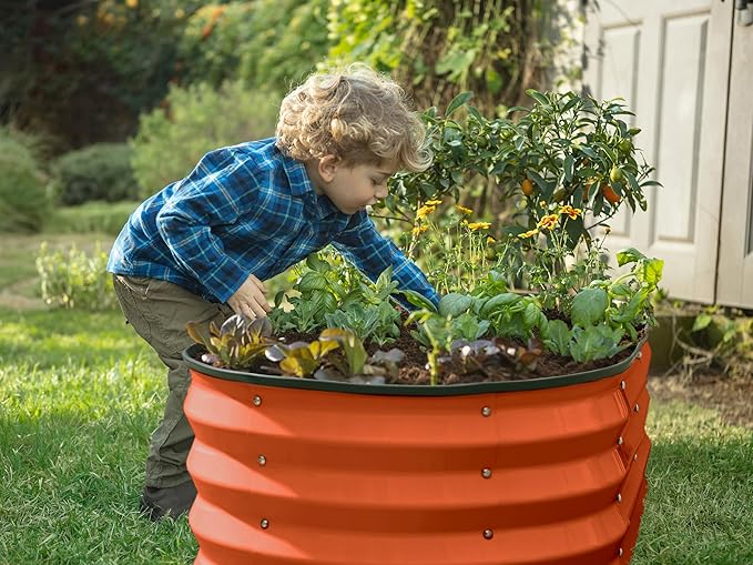 Plant & Plot Galvanized Raised Garden Beds Outdoor // 4×2×1 ft Planter Raised Beds for Gardening, Vegetables, Flowers (Orange) // Large Metal Garden Box