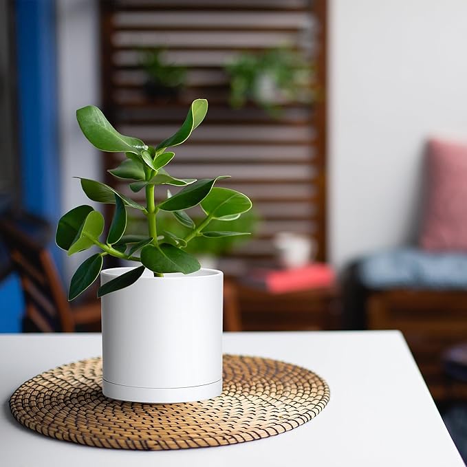 Planters 4 Pack 5 Inch Matte White Modern Plastic Pots with Saucers