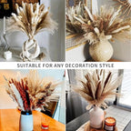 Dried Pampas Grass Bundle, 135 Pieces, Neutral Tones for Home Decor