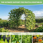 DoCred Garden Arch Trellis for Climbing Plants, 88 Inch Large Garden Trellises Outdoor Metal Plants Support Archway Arbor Tunnel for Vegetables Plant Cucumber Trellis Decoration, Black
