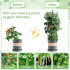 Riare 2 Pack 5.2 FT Tomato Cages for Garden- 63inches Heavy Duty Garden Stakes, Adjustable Tall Tomato Plant Support Tomato Trellis Cage for Pots, Raised Garden Bed, Climbing Vegetables Plants Flowers