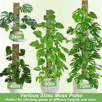 60"/40"/24" Metal Moss Pole, D Shape Sphagnum Moss Pole, Moss Poles for Climbing Plants, Monstera, Indoor Climbing Plants (1 Each of 60" 40" 24")