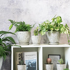 6 Inch Ceramic Planter Pots with Drainage Hole and Saucers for Indoor Plants, Garden Pots for Succulent, Orchid, and Flower - Set of 2