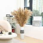 Dried Pampas Grass Stems 9 Pack, 48-Inch Brown Boho Floor Vase Decor