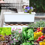 Window Box Planter 8 Pcs, 17 Inches Rectangle Flower Pots with Drainage Holes & Trays, Vegetable Planters for Windowsill Patio Garden Balcony Home Indoor Outdoor (White, 16 * 7 * 6 inch)