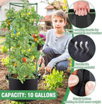 ANPHSIN 3 Sets Tomato Cages with 10 Gallon Grow Bags - 48" Stable Plant Garden Planter, Flowers Vegetable Trellis Pots for Tomato Vertical Climbing Plants Vines