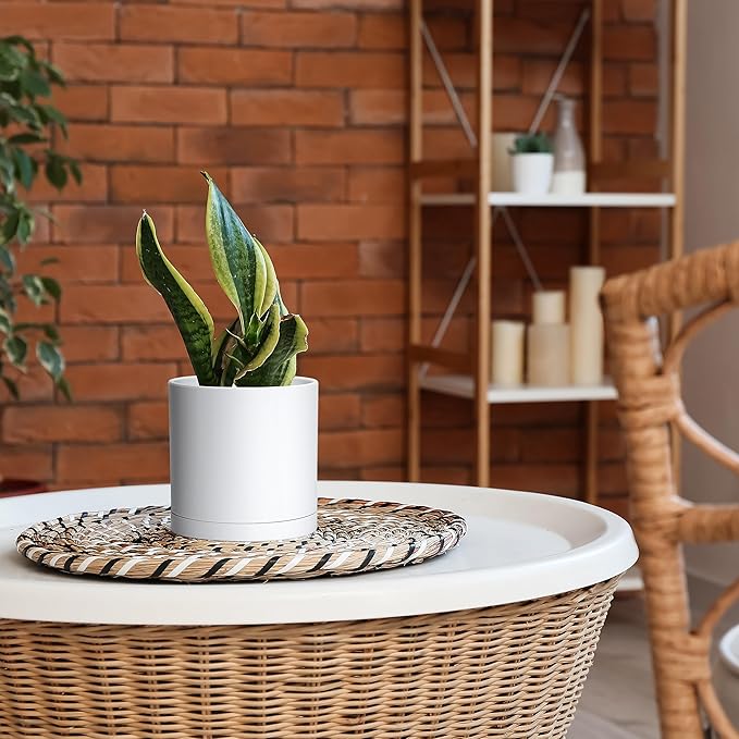 Modern Plastic Planter Pots 6 Inch, Matte White, Set of 4 with Saucers