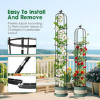 6.2ft Garden Obelisk Trellis for Climbing Plants Rustproof Metal Pipe with Heavy Duty Plastic Coated Garden Outdoor Indoor Potted Plant Support for Clematis Vine Jasmine Support