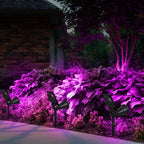 T-SUN Solar Spotlights, 4 LED Solar Waterproof Outdoor Landscape Lights, Auto-on/Auto-Off by Day, 180 Angle Adjustable for Tree, Patio, Yard, Garden, Driveway, Stairs, Pool Area(Purple-1Pack)