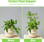 Coomin Small Plant Trellis for Climbing Plants Indoor, 14.5in Metal House Plant Trellis for Potted Plants, Mini Plant Support for Hoya Pothos, Black