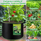 NACHLYNN 5-Pack 5 Gallon Grow Bags Heavy Duty Aeration Fabric Pots with Handles Thickened Nonwoven Fabric Pots Plant or Fruits Flowers Plant for Gardening