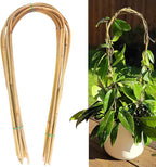 Avalution 16" Natural Bamboo Plants Trellis U-Hoop,Bamboo Gaeden Trellis U-Shape for Climbing Plant Support-20PCS