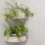 Set of 3 Plastic Window Planter with Suction Cup Holder. Large Window Popagation. Clear Self Watering Window Mounted Plant Pots. Window Sill Planters Extender for Indoor Hydroponic Plants