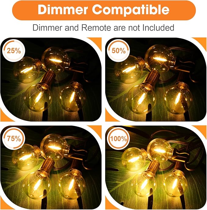 LED Bulbs, 50 Count G40 Clear Plastic E12 Dimmable