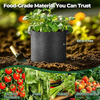 T4U 5 Gallon Grow Bags, Upgrade Grow Bags with Handles, Heavy Duty Thickened Nonwoven Fabric Pots, 5 Gallon Pots for Plants, Strawberry, Cherry Tomatoes (10 Pack)