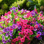 Artificial Flowers for Outdoor, UV Resistant Fake Silk Flowers, Realistic Faux Plants for Outside Indoor Porch Patio Window Box Planter Home Decor (14, Purple)