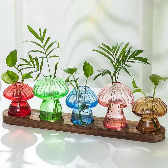 Terrarium Set of 5 Mushroom Glass Propagation Vases with Wooden Tray