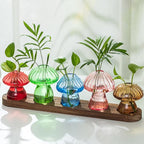 Terrarium Set of 5 Mushroom Glass Propagation Vases with Wooden Tray