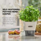 Planters Herb Keeper with Flip Lid, White Alloy Steel, 10 Fl Oz