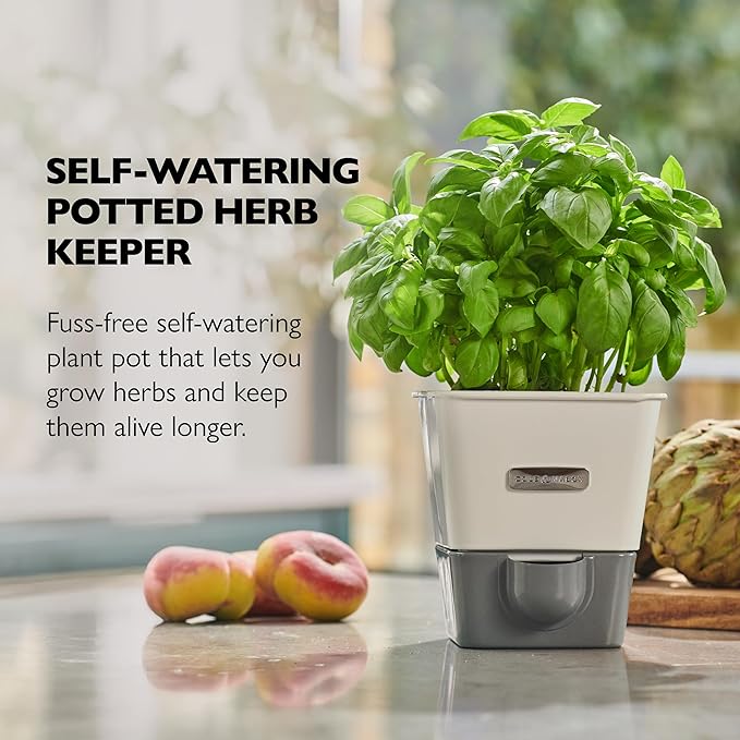 Planters Herb Keeper with Flip Lid, White Alloy Steel, 10 Fl Oz