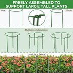 LEOBRO 24 Inch Plant Support Stakes, 6PCS Plant Stakes, Peony Cages and Supports, Garden Stakes, Plant Supports for Outdoor Plants Indoor Plants, Monstera Tomato Hydrangea Support Cage, 10" W x 24" H
