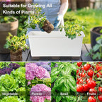 Window Box Planter 6 Pcs, 17 Inches Rectangle Flower Pots with Drainage Holes and Trays, Vegetable Planters for Windowsill Patio Garden Balcony Home Porch Yard Indoor Outdoor (Grey, 17*7.4*7.8 inch)
