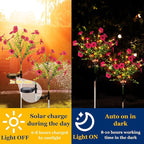 2 Pack Solar Stake Lights Outdoor Decor Waterproof Mums Artificial Flowers Solar Lights for Outdoor Garden Yard Pathway Decor (Rose Red,Violet)