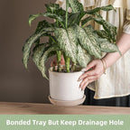 5.8 Inch Plant Pot: Ceramic Planter with Drainage Hole & Saucer for Indoor Outdoor Plants - Flowerpot with Bonded Tray for Home Office - Retro Style, Grey