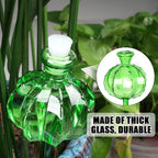 Self Watering Planter Insert. Plant Watering Devices. Plant Watering Bulbs. 4-PCS Plant Watering Globes. Green Colors Cactus Shape Self Watering Globes Medium Size. Plant Lover Gifts