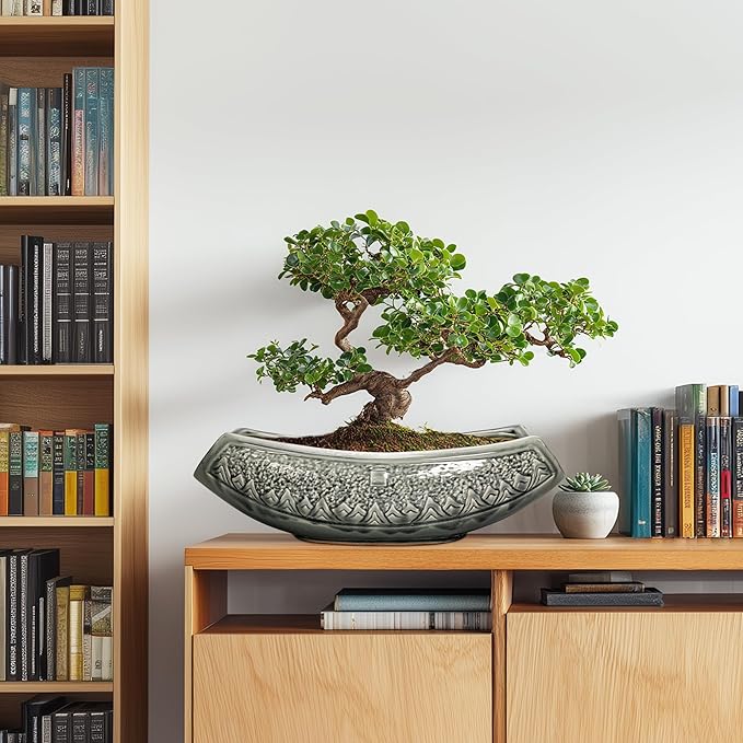 Bonsai Pots 18 Inch - Ceramic Succulent Pots, Large Bonsai Planter for Indoor Outdoor Plants, Decorative Plant Pot with Drainage Hole, Ceramic Flower Pot, House Decor, Plant Lover Gifts, Grey