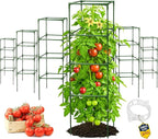 Tomato Cage Square - Large Trellis Stakes and Plant Support Structures for Vegetables and Climbing Plants - Tall Tomato Cages for Garden, Pots, Raised Garden Bed Outdoor Supplies (6 Pack - Up to 58")