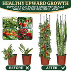 Garden Trellis, Tomato Cage Tall Plant Support Climbing Vines Flowers Stands Cucumber Trellis Plant cage(Tall 55.1 inches，2 Pack)