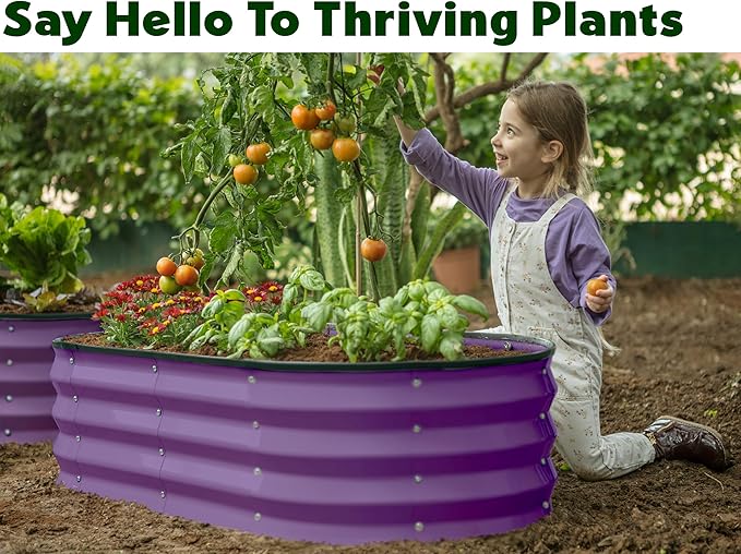 Plant & Plot Galvanized Raised Garden Beds Outdoor // 4×2×1 ft (2-Pack) Planter Raised Beds for Gardening, Vegetables, Flowers (Purple) // Large Metal Garden Box
