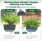 T4U 8 Inch Hanging Planters for Indoor Outdoor Plants, Self Watering Hanging Pot Pack of 2, Hanging Pots with Drainage Hole & Plug & Chain with 3 Hooks for Garden Home Decor, Grey