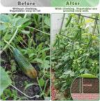Cucumber Trellis for Raised Bed, Garden Arch Trellis for Climbing Plants Outdoor, Metal Garden Trellis for Spring Vegetables, Cucumber Trellis for Tomato, Bean, Pea, Grape, Plant