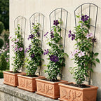 4 Pack 56'' Indoor Plant Trellis for Potted Plants Climbing Outdoor Metal Garden Trellis Houseplants Flowers Vine Ivy,Fan Shape, Black