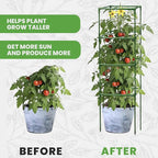 Tomato Cage Square - Large Trellis Stakes and Plant Support Structures for Vegetables and Climbing Plants - Tall Tomato Cages for Garden, Pots, Raised Garden Bed Outdoor Supplies (3 Pack - Up to 58")