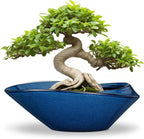 Planter Pot, Blue Ceramic Bonsai Pot with Drainage Hole, 12 Inch