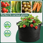 5 Pack 5 Gallon Grow Bags, Thickened Aeration Nonwoven Fabric Plant Pots with Handles, Heavy Duty 300G Garden Planting Bag for Tomato, Potato, Strawberry, Vegetable, Fruits and Flowers