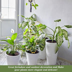 Grevosea 14 Inch Trellis for Climbing Plants Indoor, Plant Trellis Indoor Small Trellis for Potted Plants Honeycomb Metal Pothos Plant Climber Support for Flower Indoor Plants Supports