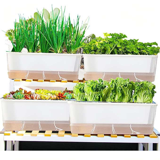 FAMZ Self Watering Pots for Indoor Plants 3 Pack Transparent Rectangular Planting Self Watering Planter，Vegetable Planters for Windowsill Patio Garden Balcony Home Porch Yard Indoor Outdoor (White)