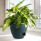 12/10/9 inch Large Self Watering Pots, Planter, Plant Pots with Mesh Drainage Holes for Indoor Outdoor Garden Plants, Plastic Flower Pots with Deep Reservoir, Black with Green Speckles
